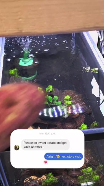 @Schalkx.Aquatics