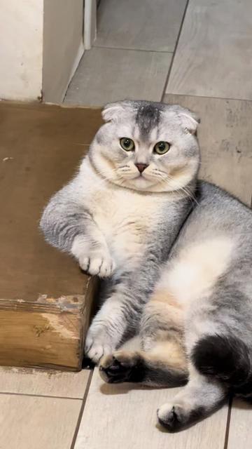 @Леночка Яртымик