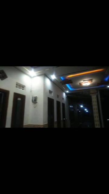 @kancil muda