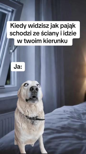 @ritt_trip