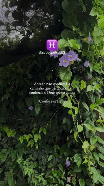@soudepeixes