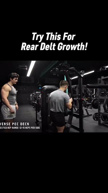 @theschoolofgains