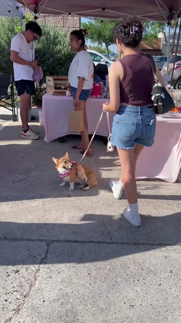 @STX Markets