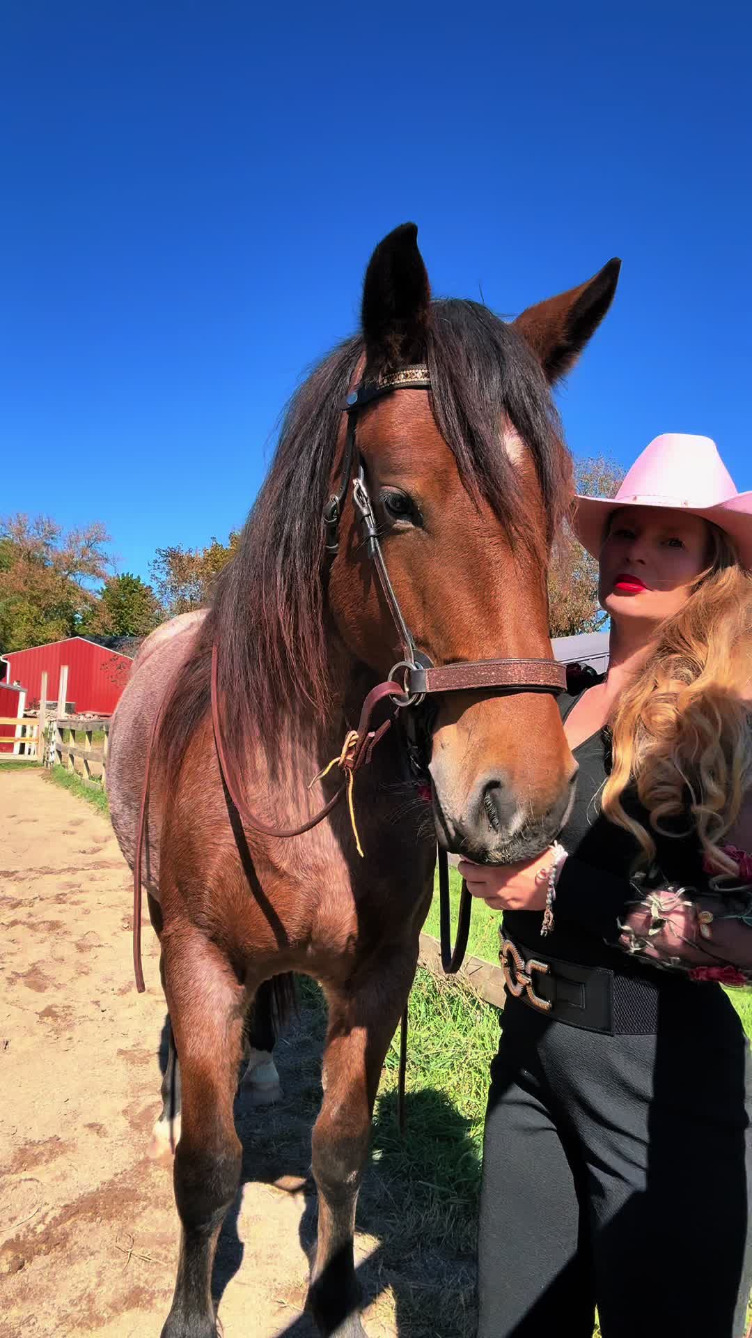 @Free Spirit Equestrian