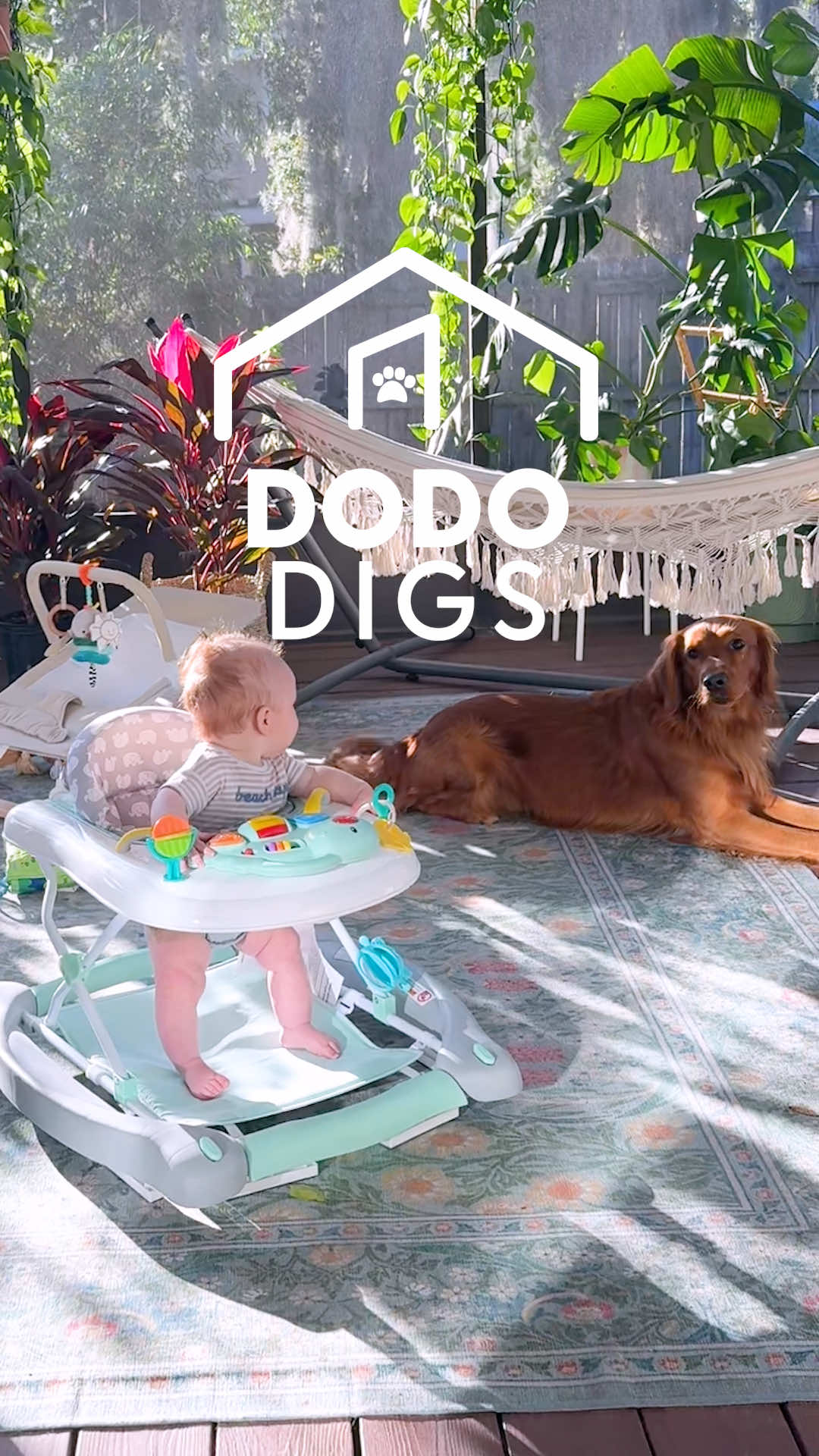 @The Dodo