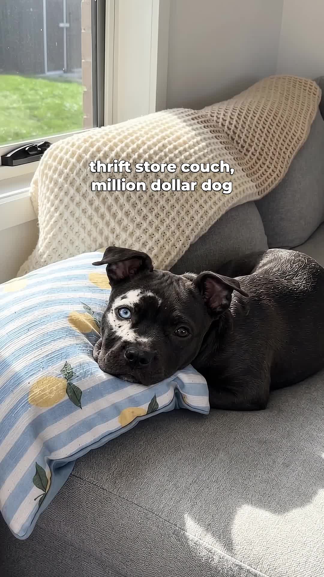 @moonfetches