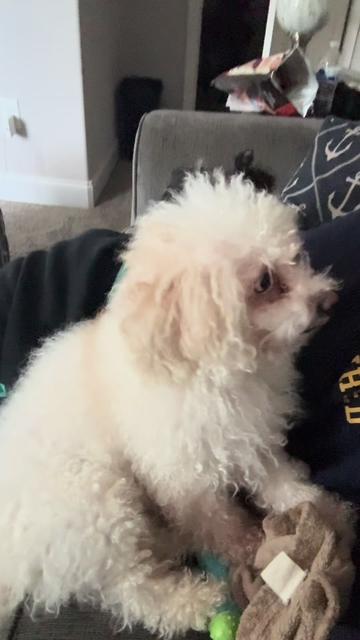 @I_Am_Skates 👑🇺🇸