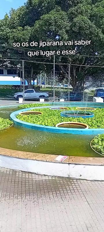 @juju..ribeirinha..de..Rondônia