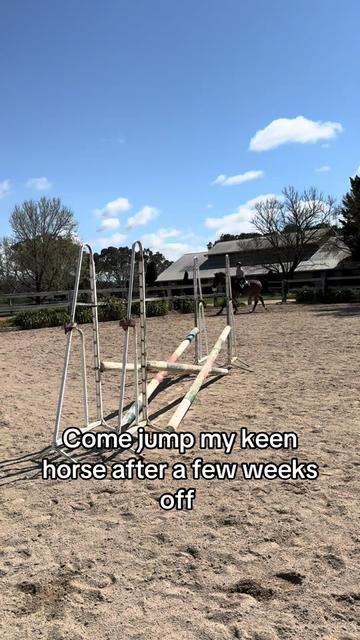 @TDDG Equestrian