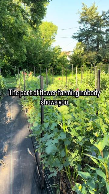 @Christopher | Flower Farmer
