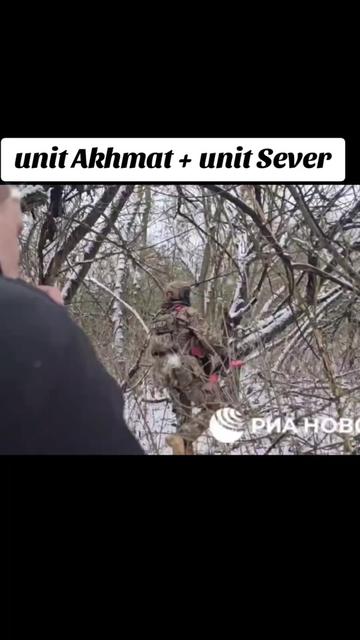 @allmiliter