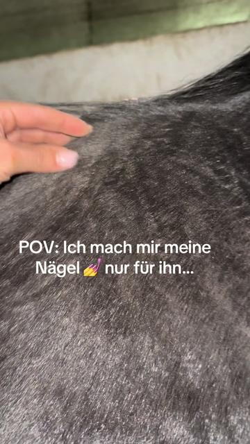 @Camalieundamalie❤️