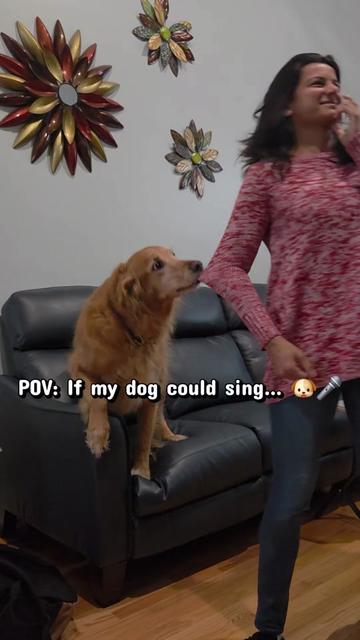 @Vaishali2468