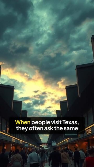 @Texas Untamed