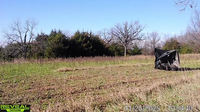 @Tactical Approach Outdoors LLC