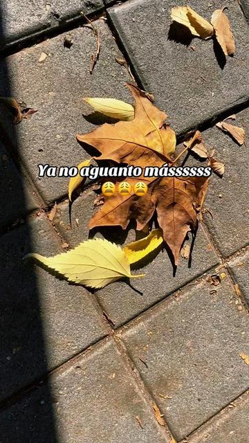 @Yadi &hellip;.😍🍀🫧