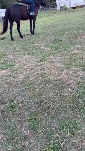 @pussnboots4555