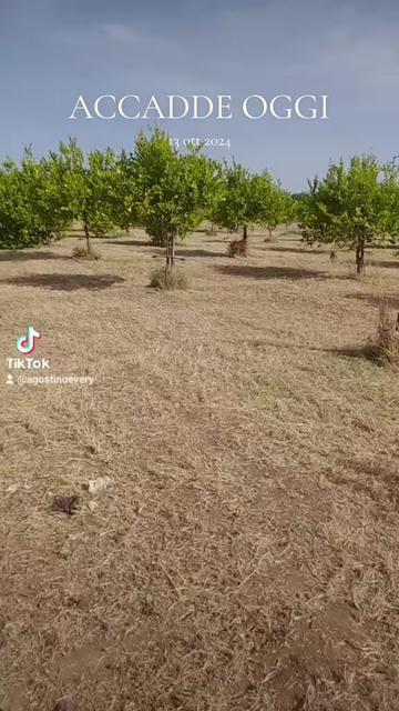 @user8770659710641
