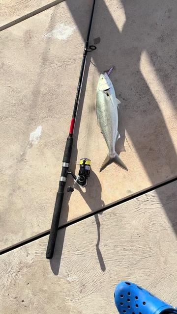 @Jay fishing acc