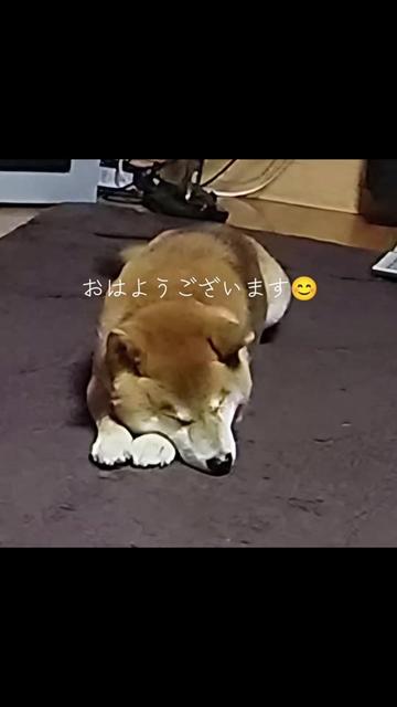 @チルチルみちる