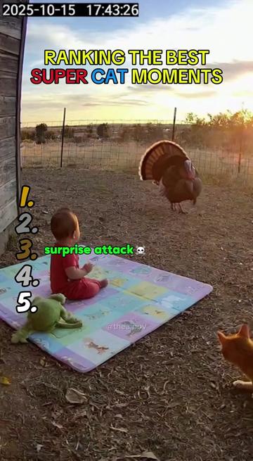 @The AI SuperCat