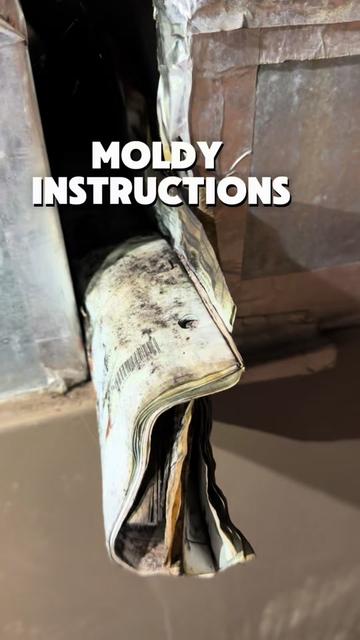 @Long Island Mold Guy