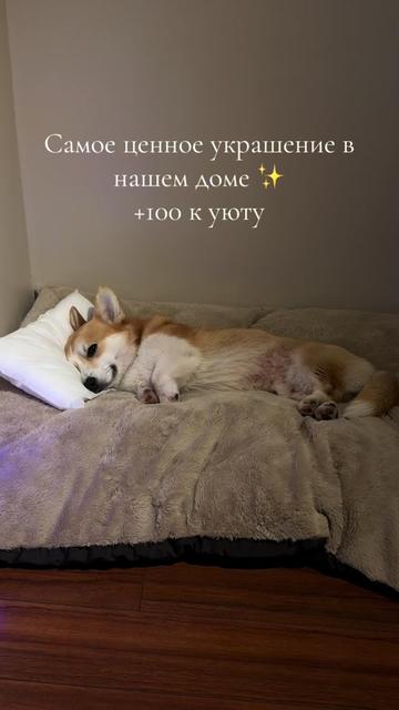 @Alina Golban