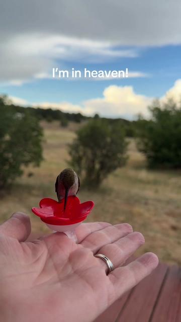 @NatureLoverHeather