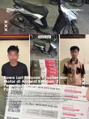 @Tribunnews Sultra Official
