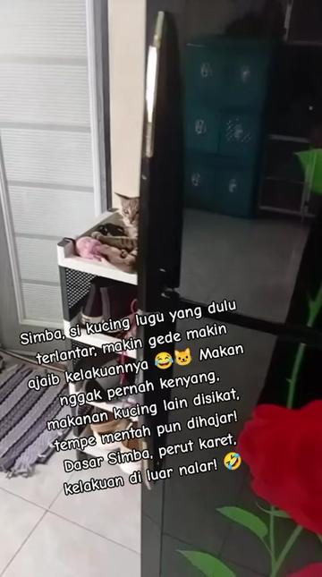 @Lina herlina