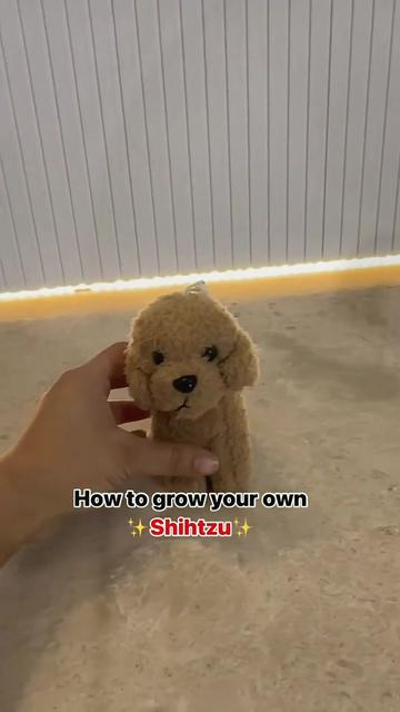 @io5wd7pxd0