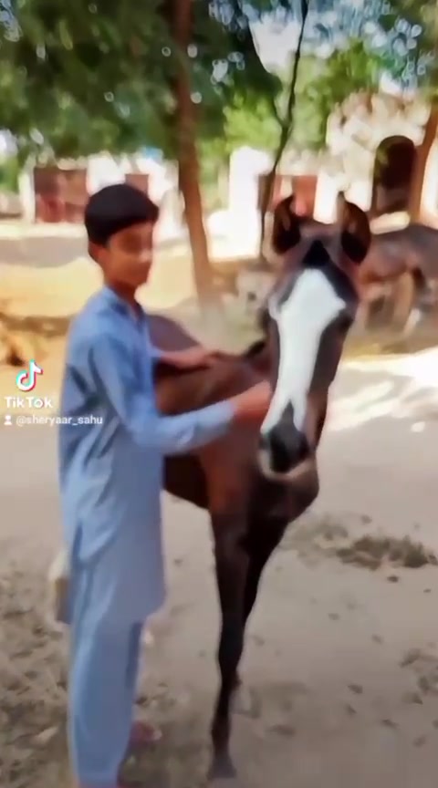 @🇬🇧CH ZAIN GUJJAR🇵🇰