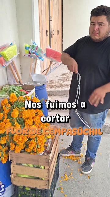 @Conecta-dos