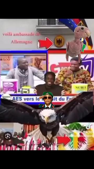 @Ya-pas-chien🐕-Ya-pas-chat🐈