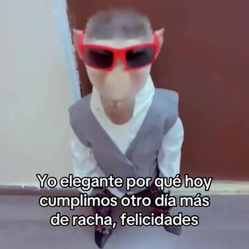 @saulburgosp