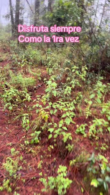 @Caminos y Senderos Mtb & Camp