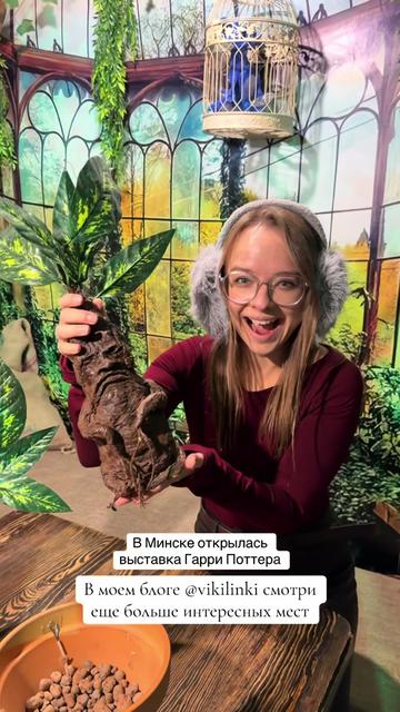 @ВИКТОРИЯ / ОБЗОРЫ