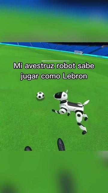 @BolilloVR