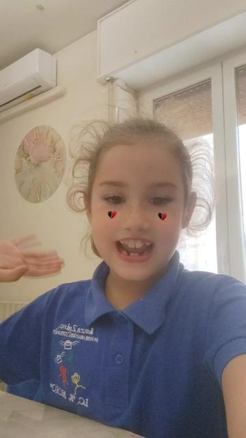 @sophia ancona