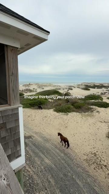 @Twiddy OBX