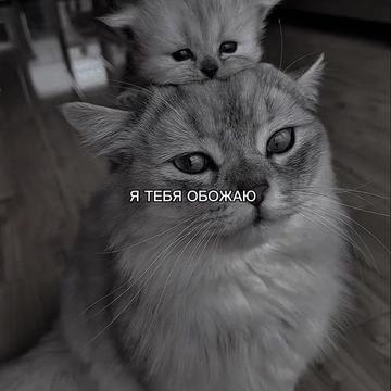@ХХИКА
