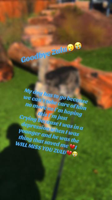 @Kingo boi💙😝