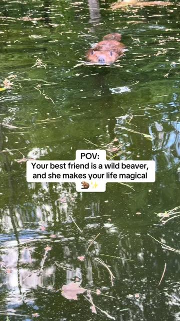 @Wild For Life Inc.