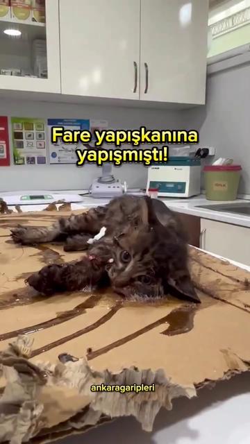 @Asiye