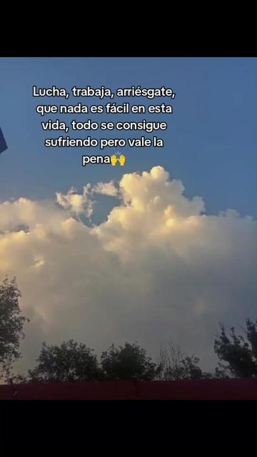 @paubonii
