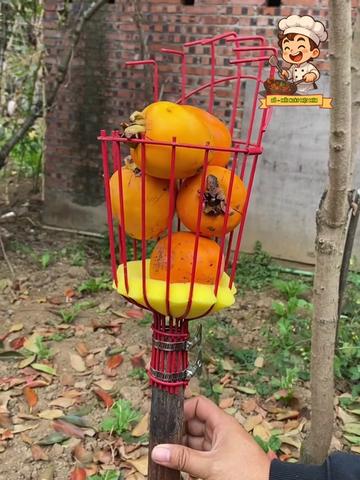 @Đỗ - Mỗi Ngày Một Món