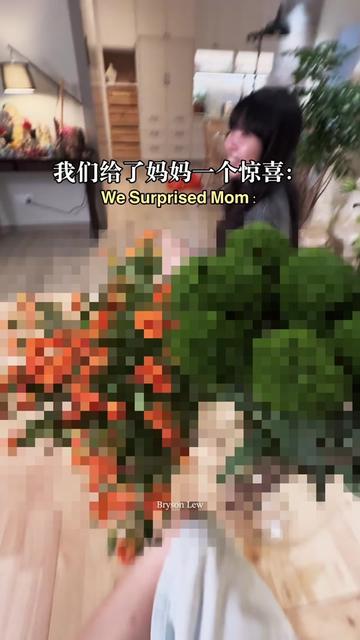 @Bryson Lew刘铠翔