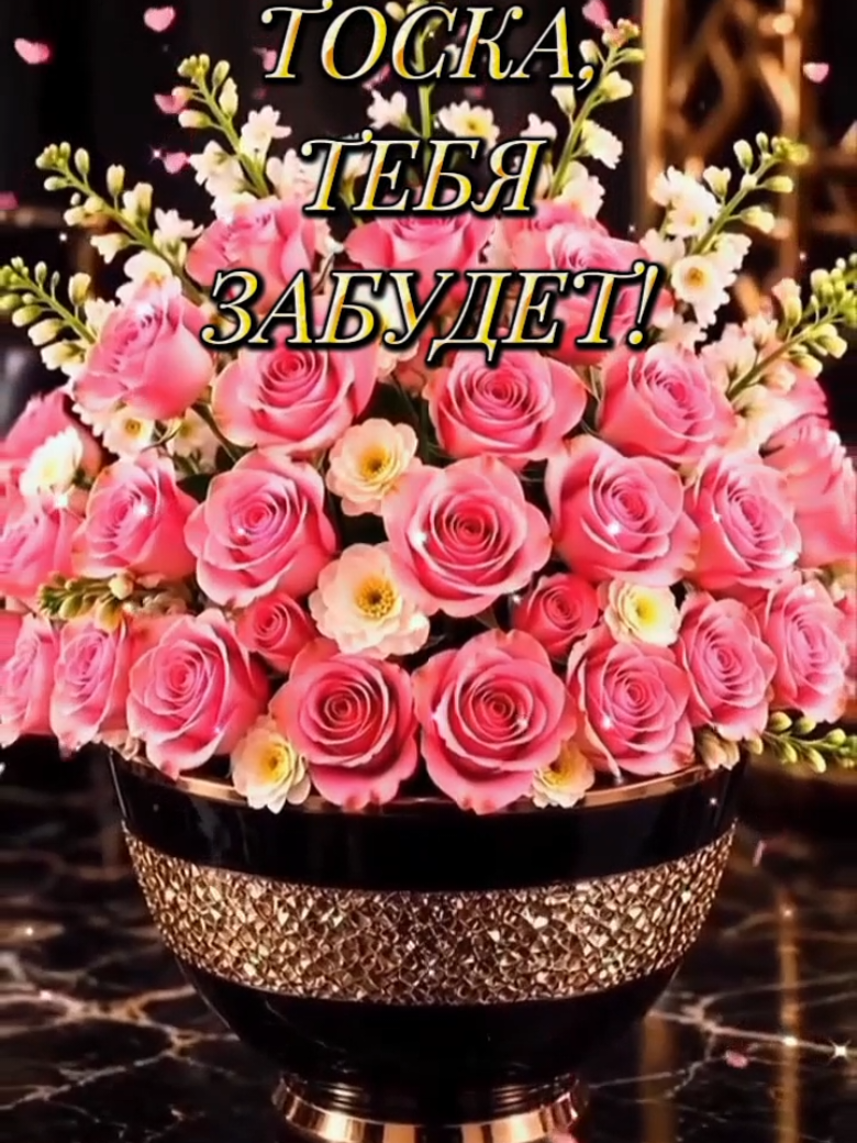 @꧁࿇♥𝓢𝓿𝓮𝓽𝓵𝓪𝓷𝓪꧁♥࿇꧂