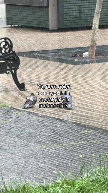 @Bel