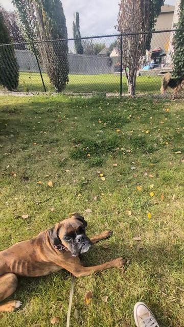 @Kavik.K9